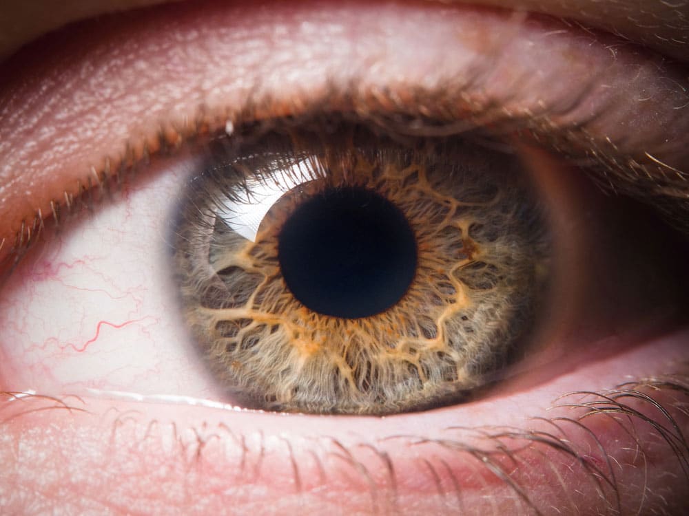 Closeup On An Eye